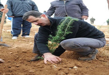 Assad-tree-15-2-15-1